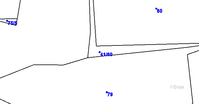 Parcela st. 41/60 v KÚ Hodonín u Zdíkovce, Katastrální mapa