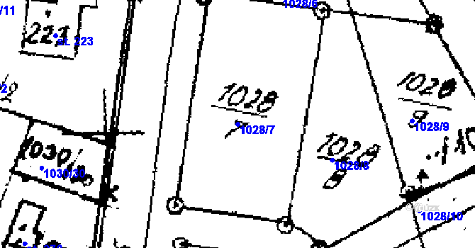 Parcela st. 1028/7 v KÚ Zichovec, Katastrální mapa
