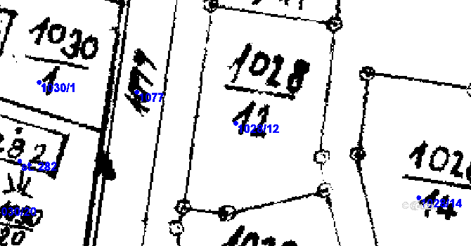 Parcela st. 1028/12 v KÚ Zichovec, Katastrální mapa
