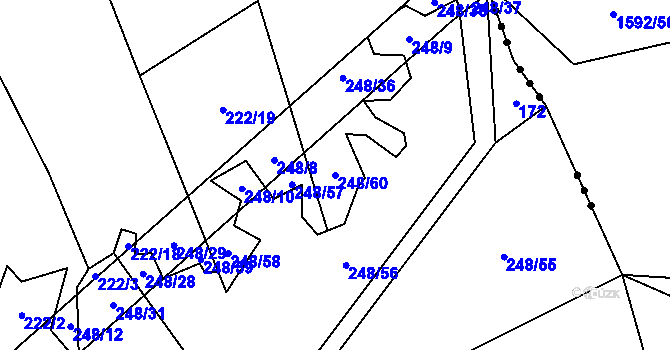 Parcela st. 248/60 v KÚ Znětínek, Katastrální mapa