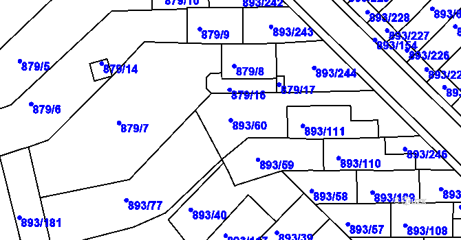 Parcela st. 893/60 v KÚ Znojmo-město, Katastrální mapa