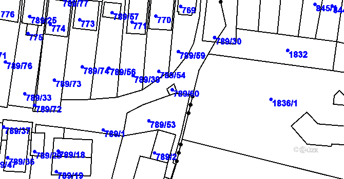 Parcela st. 789/60 v KÚ Znojmo-Louka, Katastrální mapa