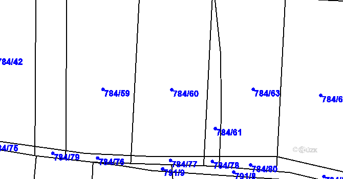 Parcela st. 784/60 v KÚ Senec u Plzně, Katastrální mapa