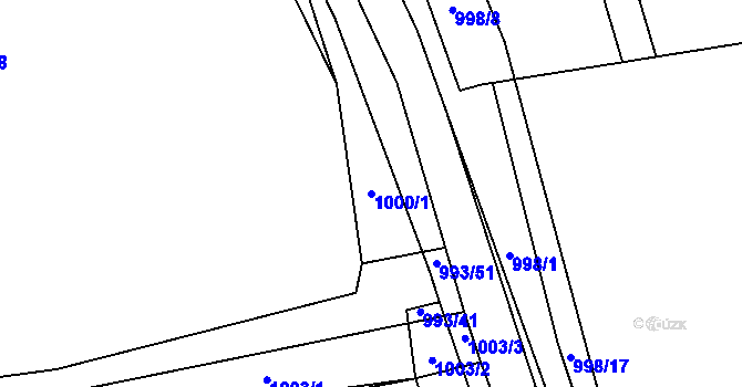 Parcela st. 1000/1 v KÚ Senec u Plzně, Katastrální mapa