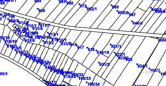 Parcela st. 919 v KÚ Zvěstov, Katastrální mapa