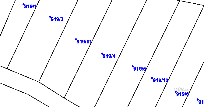 Parcela st. 919/4 v KÚ Zvěstov, Katastrální mapa