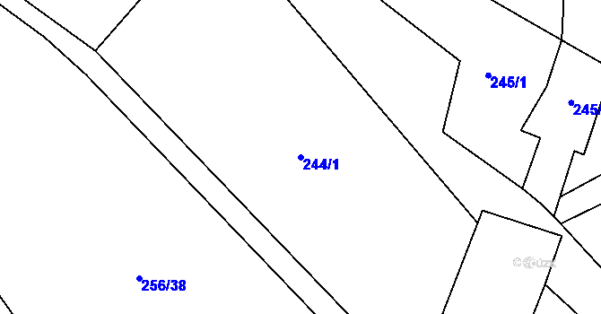 Parcela st. 244/1 v KÚ Zvěstovice, Katastrální mapa
