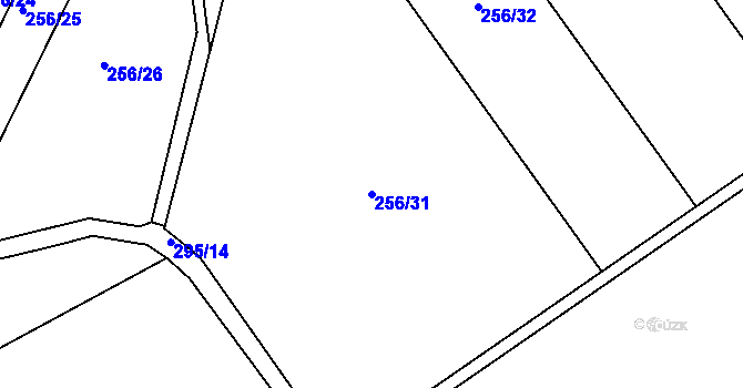 Parcela st. 256/31 v KÚ Zvěstovice, Katastrální mapa