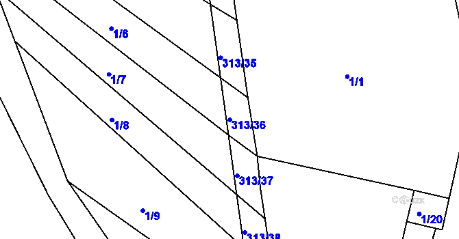 Parcela st. 313/36 v KÚ Vlkovice, Katastrální mapa