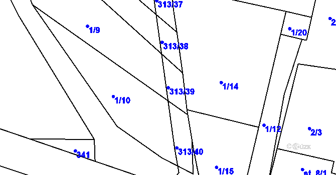 Parcela st. 313/39 v KÚ Vlkovice, Katastrální mapa