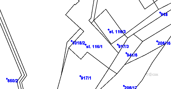 Parcela st. 116/1 v KÚ Zvole nad Pernštejnem, Katastrální mapa