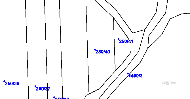 Parcela st. 250/40 v KÚ Břehov, Katastrální mapa
