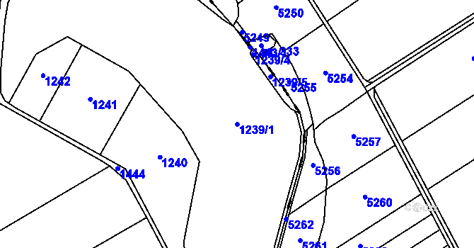 Parcela st. 1239/1 v KÚ Žákovice, Katastrální mapa
