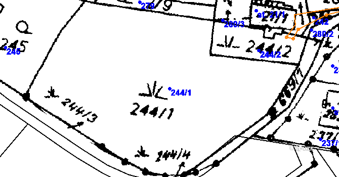 Parcela st. 244/1 v KÚ Dlouhoňovice, Katastrální mapa