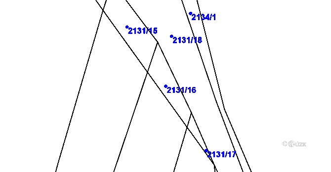 Parcela st. 2131/16 v KÚ Buková u Nových Hradů, Katastrální mapa