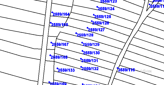 Parcela st. 2559/129 v KÚ Ždánice, Katastrální mapa