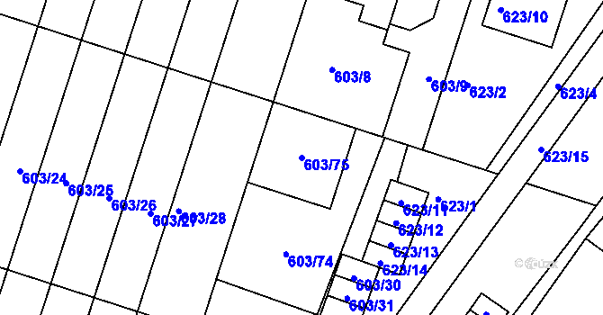 Parcela st. 603/75 v KÚ Ždánice, Katastrální mapa