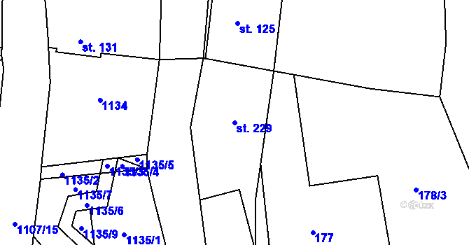 Parcela st. 229 v KÚ Žďár nad Metují, Katastrální mapa