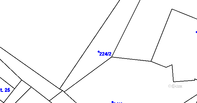 Parcela st. 224/2 v KÚ Víckov, Katastrální mapa