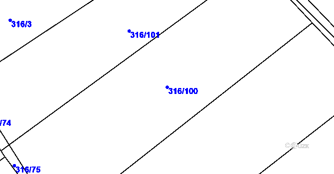 Parcela st. 316/100 v KÚ Točník, Katastrální mapa