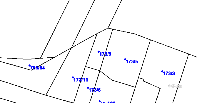 Parcela st. 173/9 v KÚ Horušice, Katastrální mapa