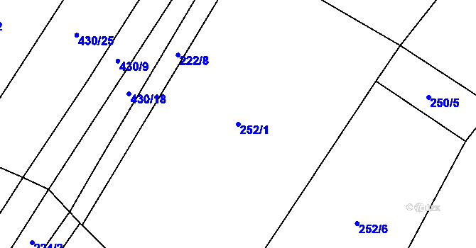 Parcela st. 252/1 v KÚ Horušice, Katastrální mapa