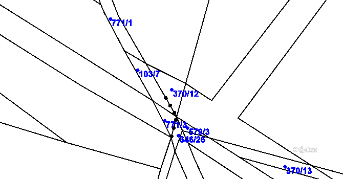 Parcela st. 370/12 v KÚ Horušice, Katastrální mapa