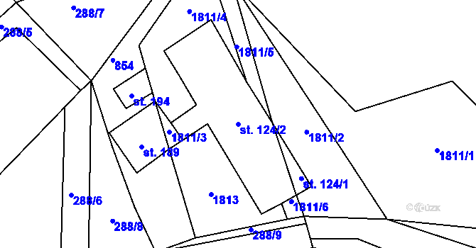 Parcela st. 124/2 v KÚ Horušice, Katastrální mapa