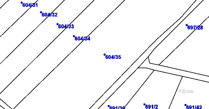 Parcela st. 604/35 v KÚ Horušice, Katastrální mapa