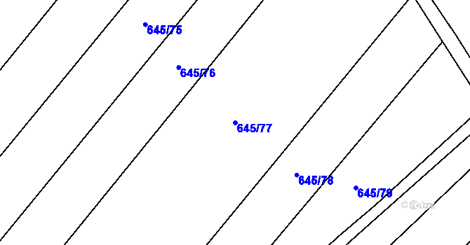 Parcela st. 645/77 v KÚ Horušice, Katastrální mapa