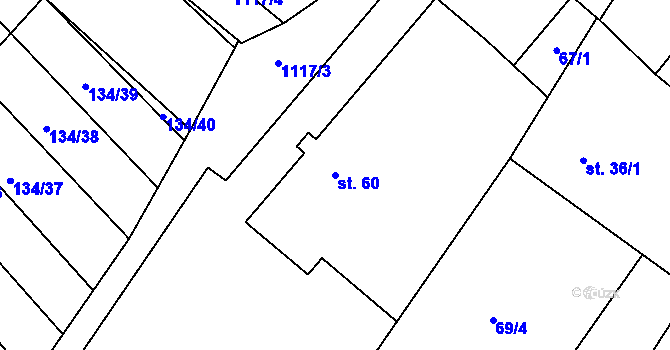 Parcela st. 60 v KÚ Šašovice, Katastrální mapa