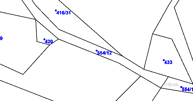 Parcela st. 554/12 v KÚ Železná Ruda, Katastrální mapa