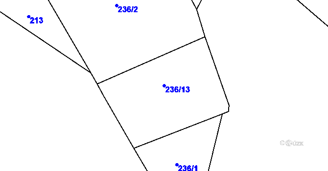 Parcela st. 236/13 v KÚ Bzí u Železného Brodu, Katastrální mapa