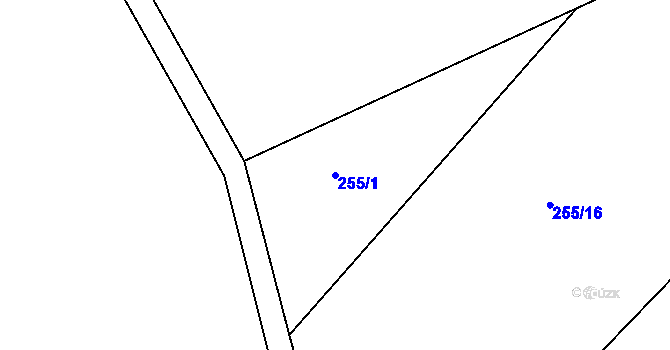 Parcela st. 255/1 v KÚ Bzí u Železného Brodu, Katastrální mapa