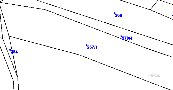 Parcela st. 267/1 v KÚ Bzí u Železného Brodu, Katastrální mapa