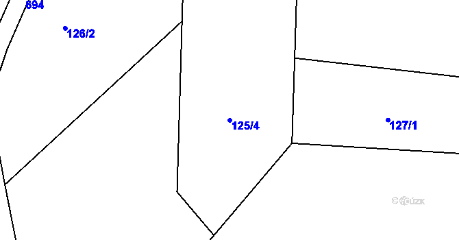 Parcela st. 125/4 v KÚ Chlístov u Železného Brodu, Katastrální mapa