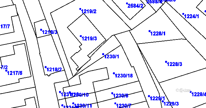 Parcela st. 1230/1 v KÚ Železný Brod, Katastrální mapa