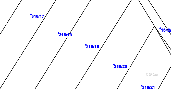Parcela st. 316/19 v KÚ Želiv, Katastrální mapa