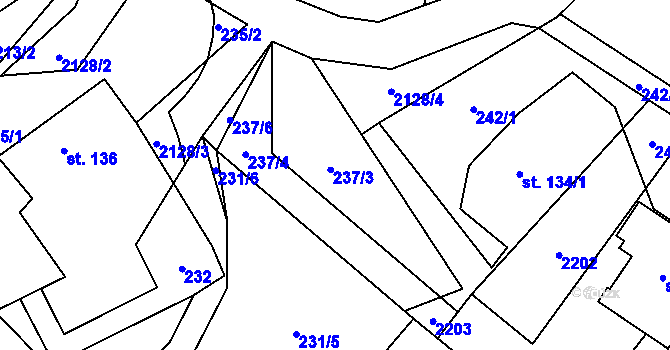Parcela st. 237 v KÚ Ženklava, Katastrální mapa