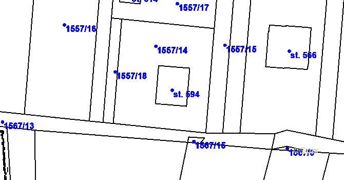 Parcela st. 594 v KÚ Ženklava, Katastrální mapa
