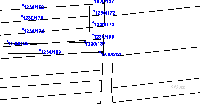 Parcela st. 1230/202 v KÚ Žeravice u Kyjova, Katastrální mapa