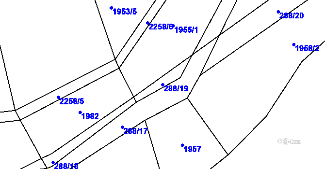 Parcela st. 288/19 v KÚ Žernov, Katastrální mapa