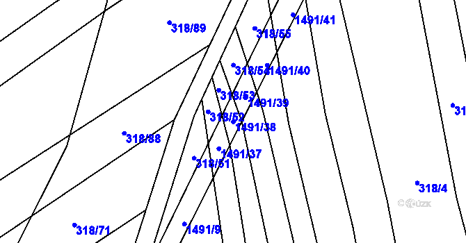 Parcela st. 1491/38 v KÚ Žerovice, Katastrální mapa