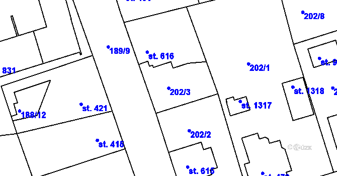 Parcela st. 202/3 v KÚ Žirovnice, Katastrální mapa