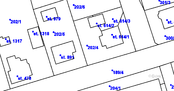 Parcela st. 202/4 v KÚ Žirovnice, Katastrální mapa
