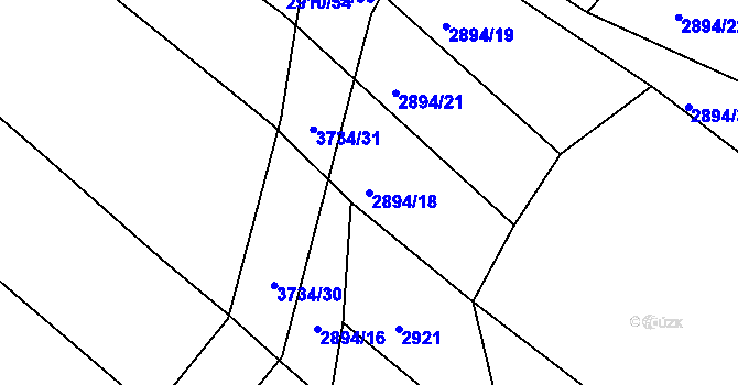 Parcela st. 2894/18 v KÚ Žirovnice, Katastrální mapa