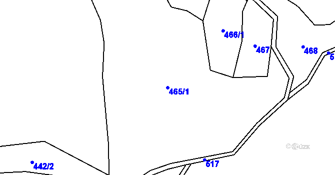 Parcela st. 465/1 v KÚ Skalice u Žitenic, Katastrální mapa
