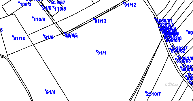 Parcela st. 91/1 v KÚ Žítková, Katastrální mapa