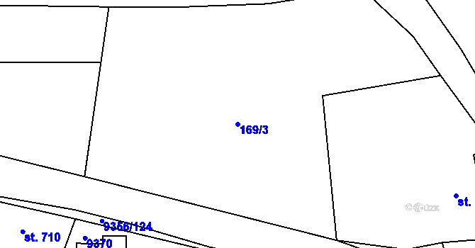 Parcela st. 169/3 v KÚ Žítková, Katastrální mapa