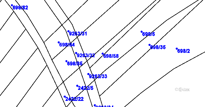 Parcela st. 698/58 v KÚ Žítková, Katastrální mapa